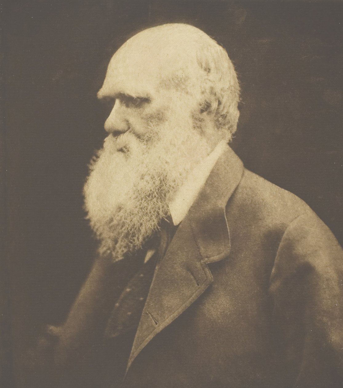 Karol Darwin, 1868, druk ok. 1893. autorstwa Julia Margaret Cameron