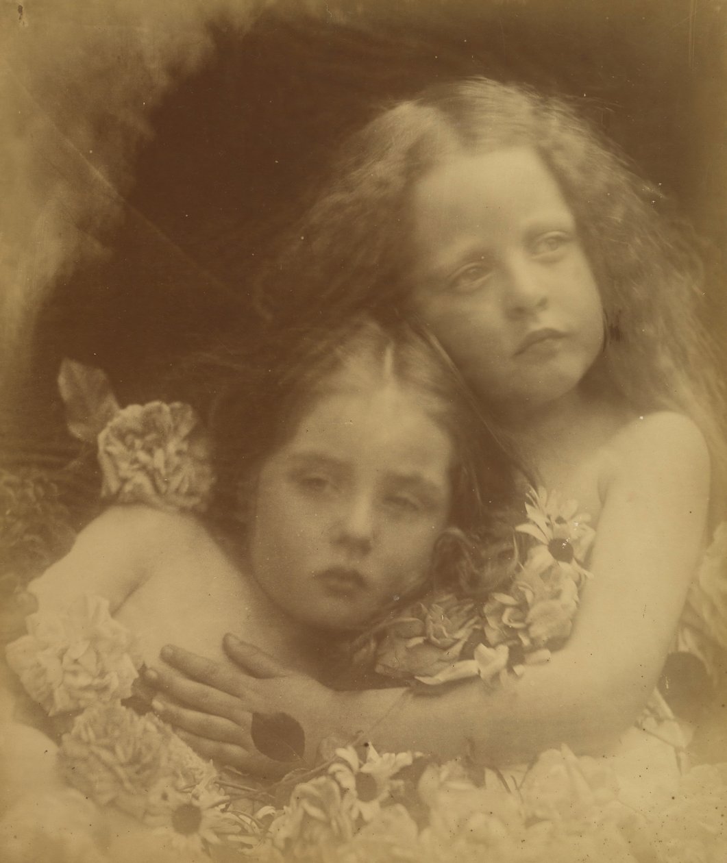 Angielskie kwiaty, 1873. autorstwa Julia Margaret Cameron