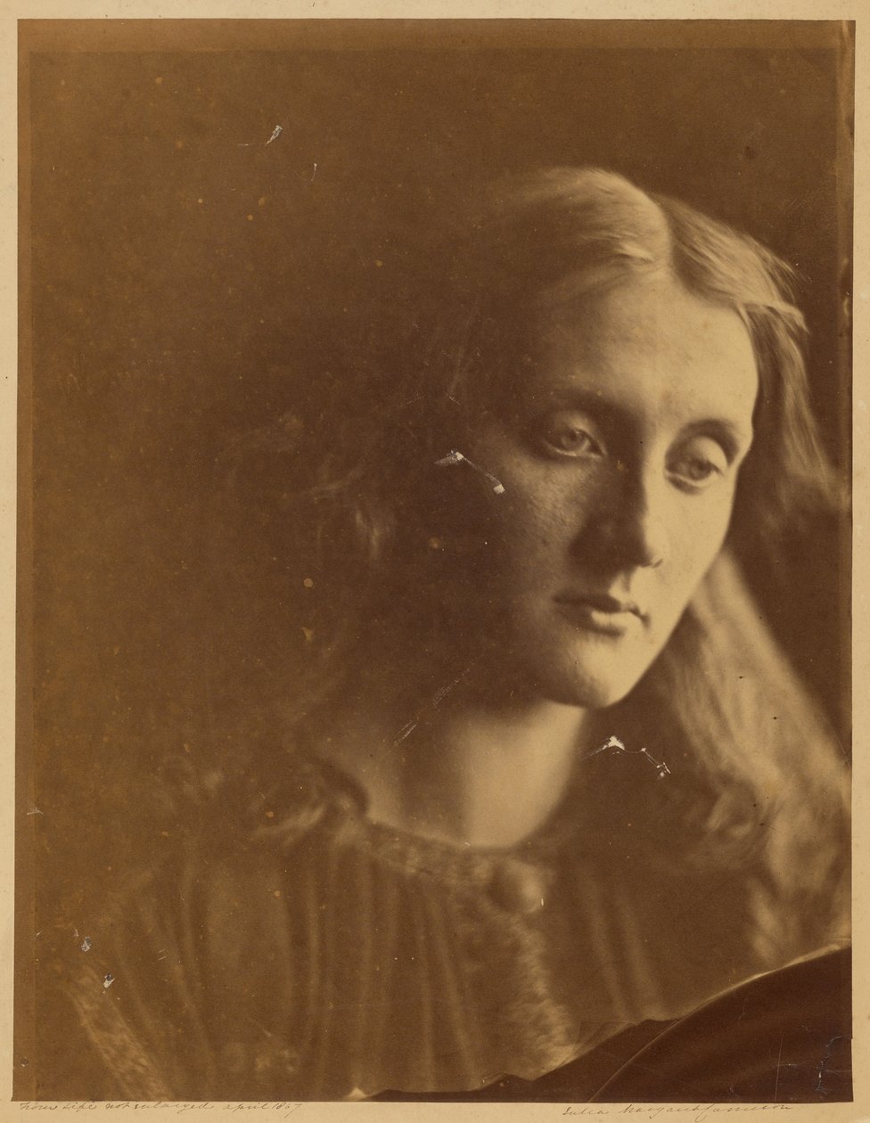 [Julia Jackson] autorstwa Julia Margaret Cameron
