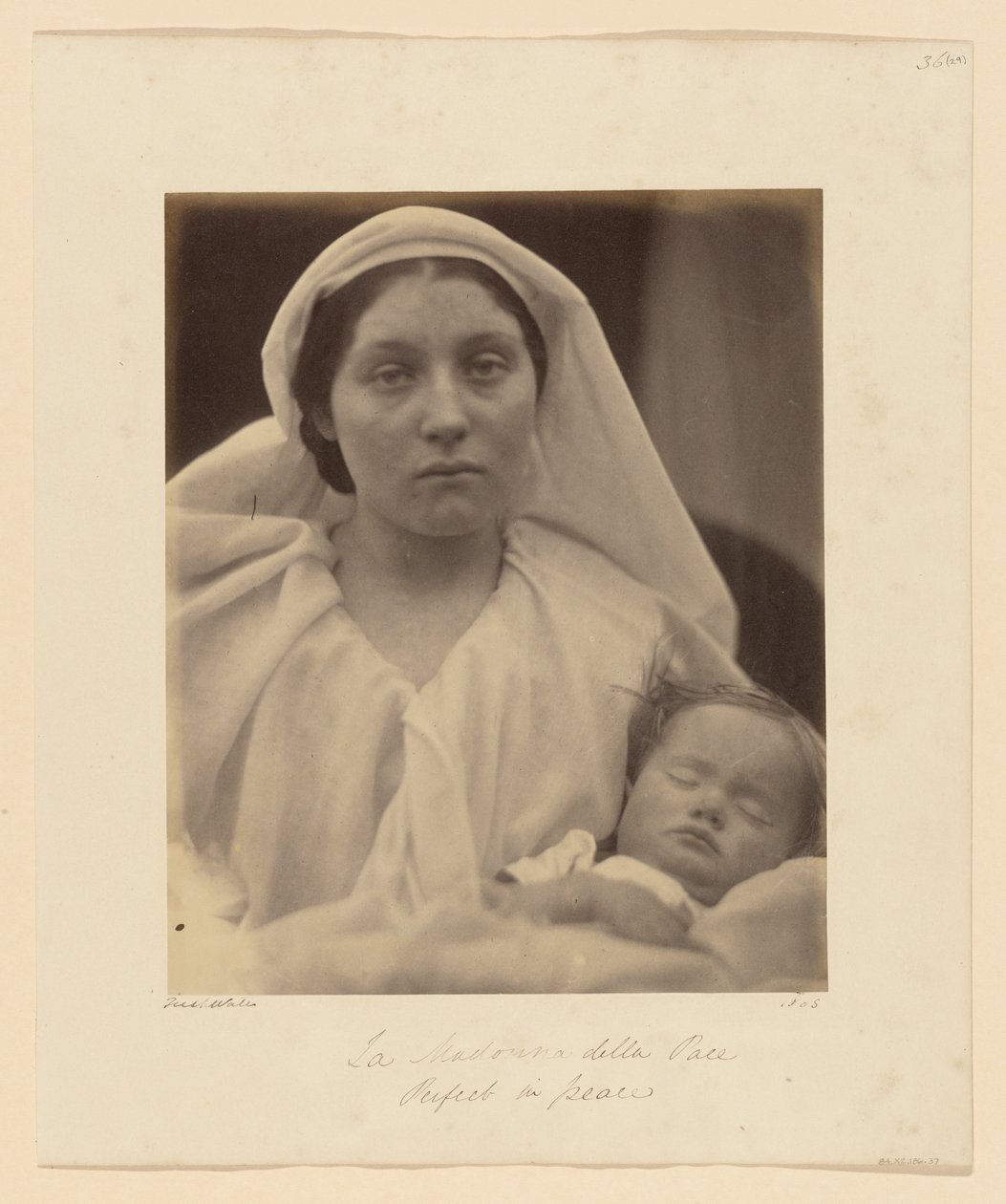 Matka Boża Pokoju autorstwa Julia Margaret Cameron