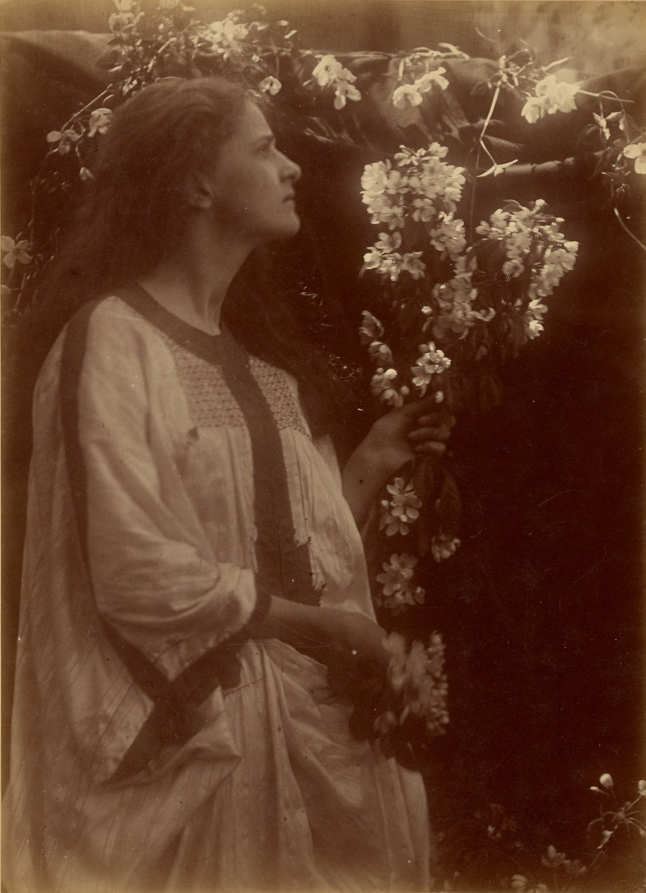 [Wiosna] autorstwa Julia Margaret Cameron