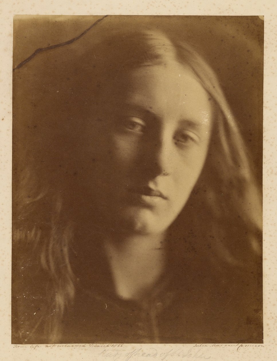 [Study Head of St. John] autorstwa Julia Margaret Cameron