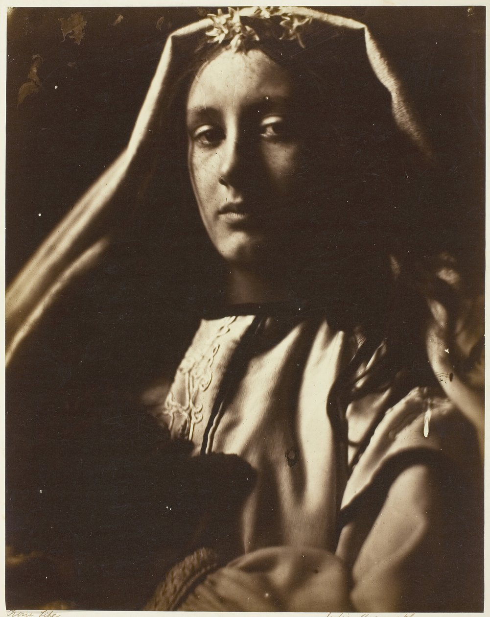 Neopolita, 186465. autorstwa Julia Margaret Cameron
