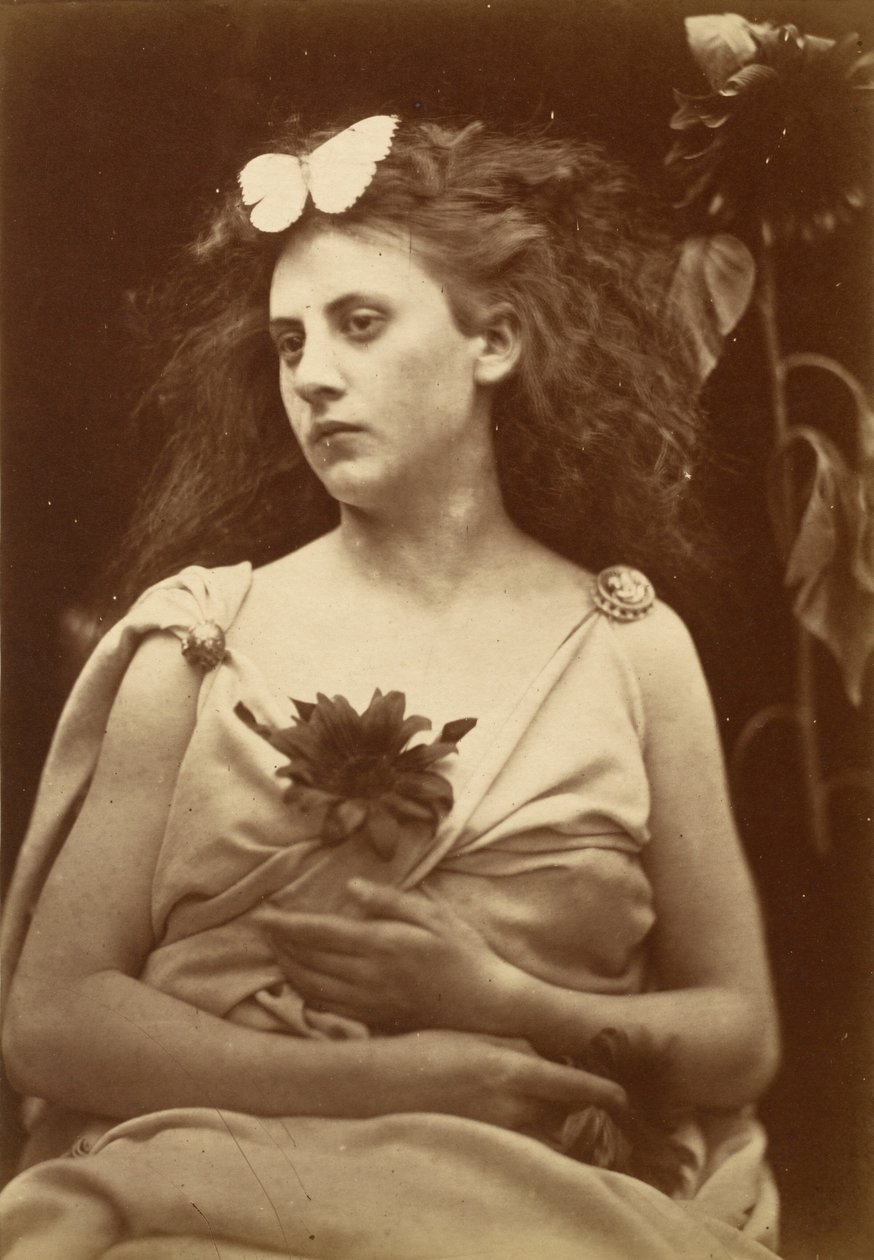 Słonecznik, początek lat 70. XIX wieku (zdjęcie) autorstwa Julia Margaret Cameron