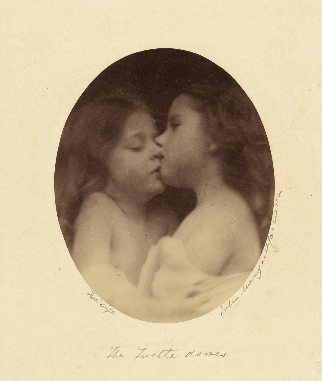 Gołębie żółwie autorstwa Julia Margaret Cameron
