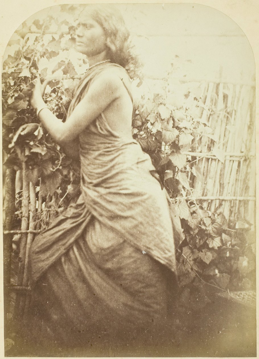 Kobieta, Cejlon, 187579. autorstwa Julia Margaret Cameron