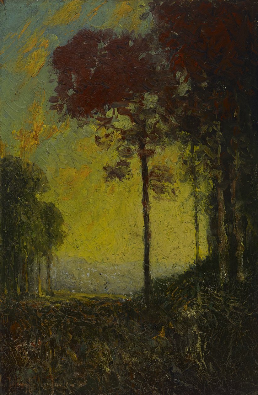 Jesienny zachód słońca, 1908 autorstwa Julian Onderdonk