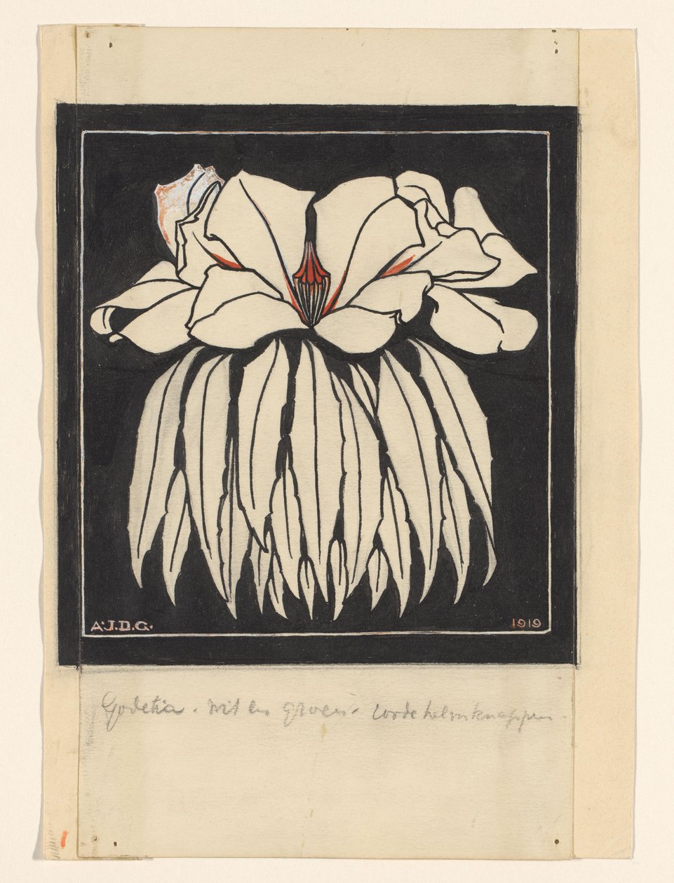 Godetia autorstwa Julie de Graag (signed by artist)