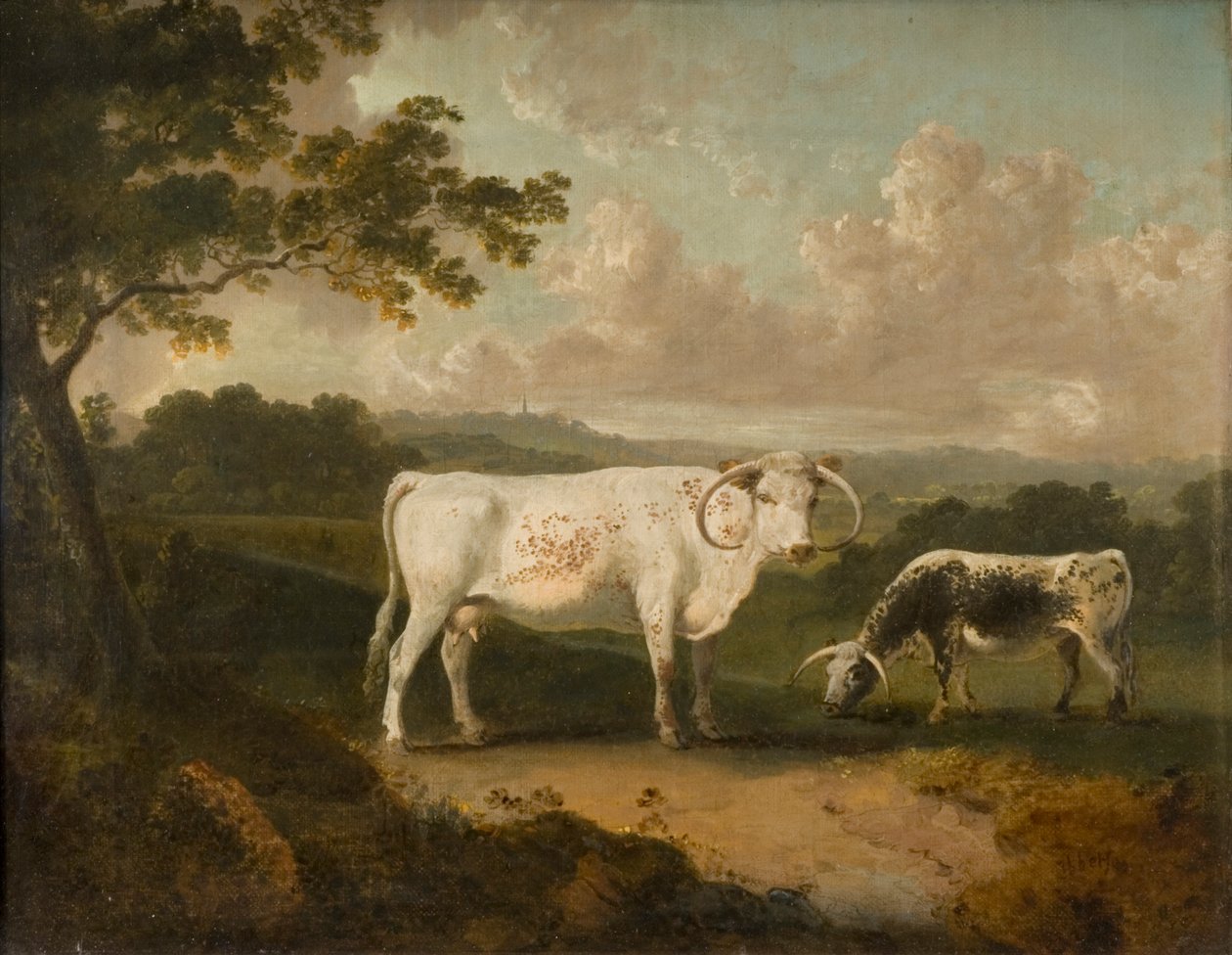 Kenwood, bydło z rodowodem Lorda Mansfielda, 1797 r autorstwa Julius Caesar Ibbetson