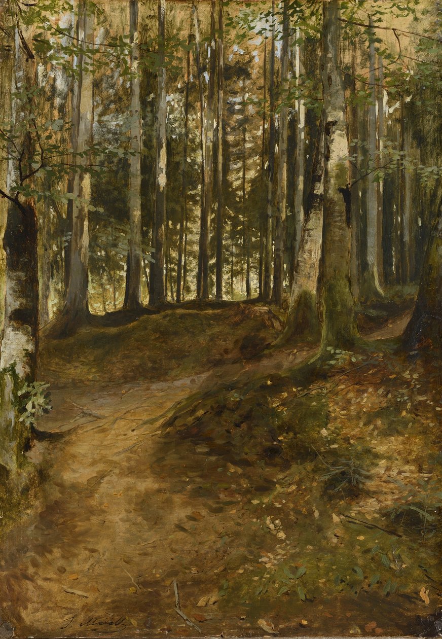 Ścieżka leśna autorstwa Julius Mařák