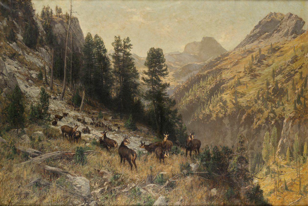 Jesień w wysokich górach autorstwa Julius Arthur Thiele
