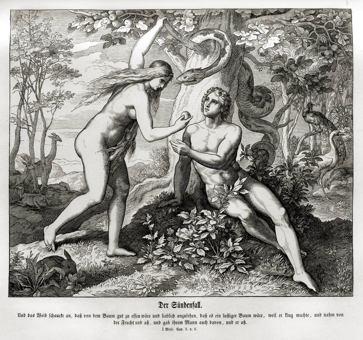 Upadek, Genesis autorstwa Julius Schnorr von Carolsfeld