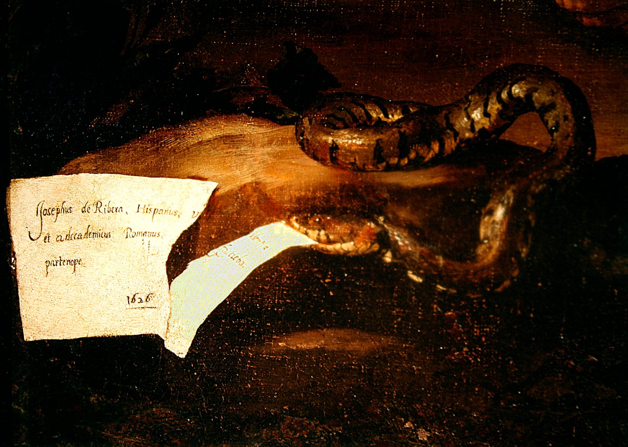 Fragment Drunken Silenus, 1626 (detal 434192) autorstwa Jusepe de Ribera