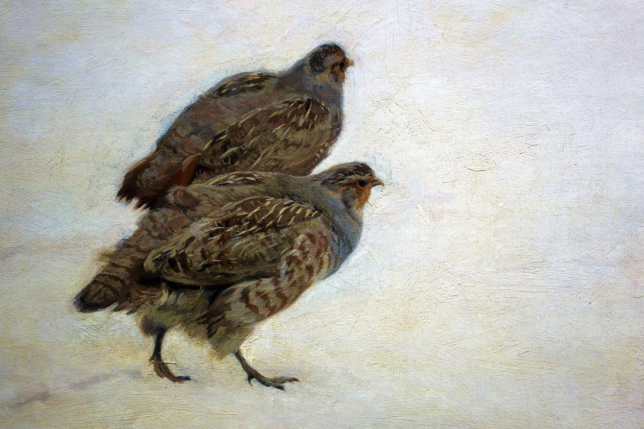 Kuropatwy autorstwa Józef Chełmoński