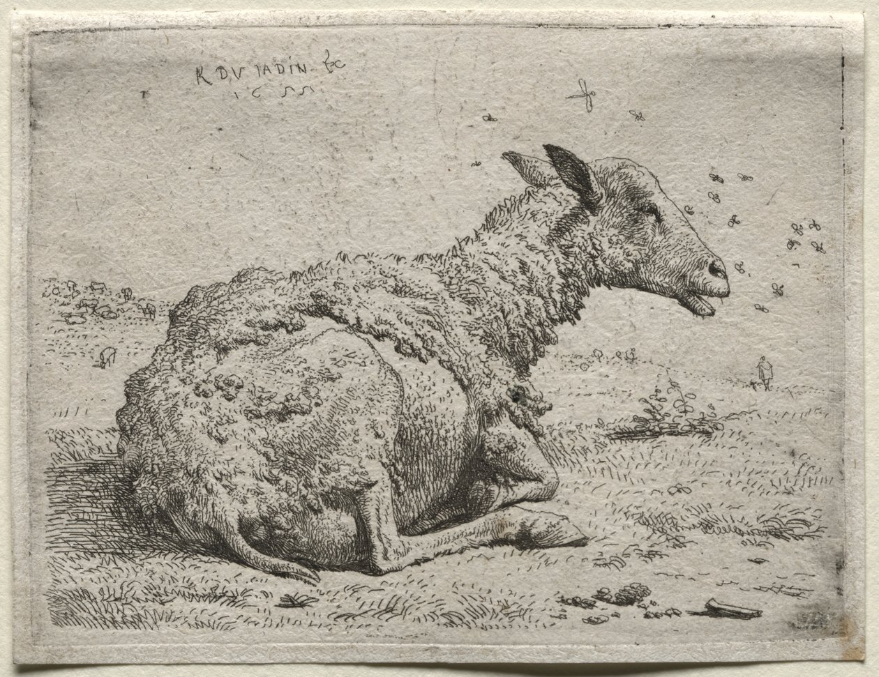 Owce i muchy autorstwa Karel Dujardin