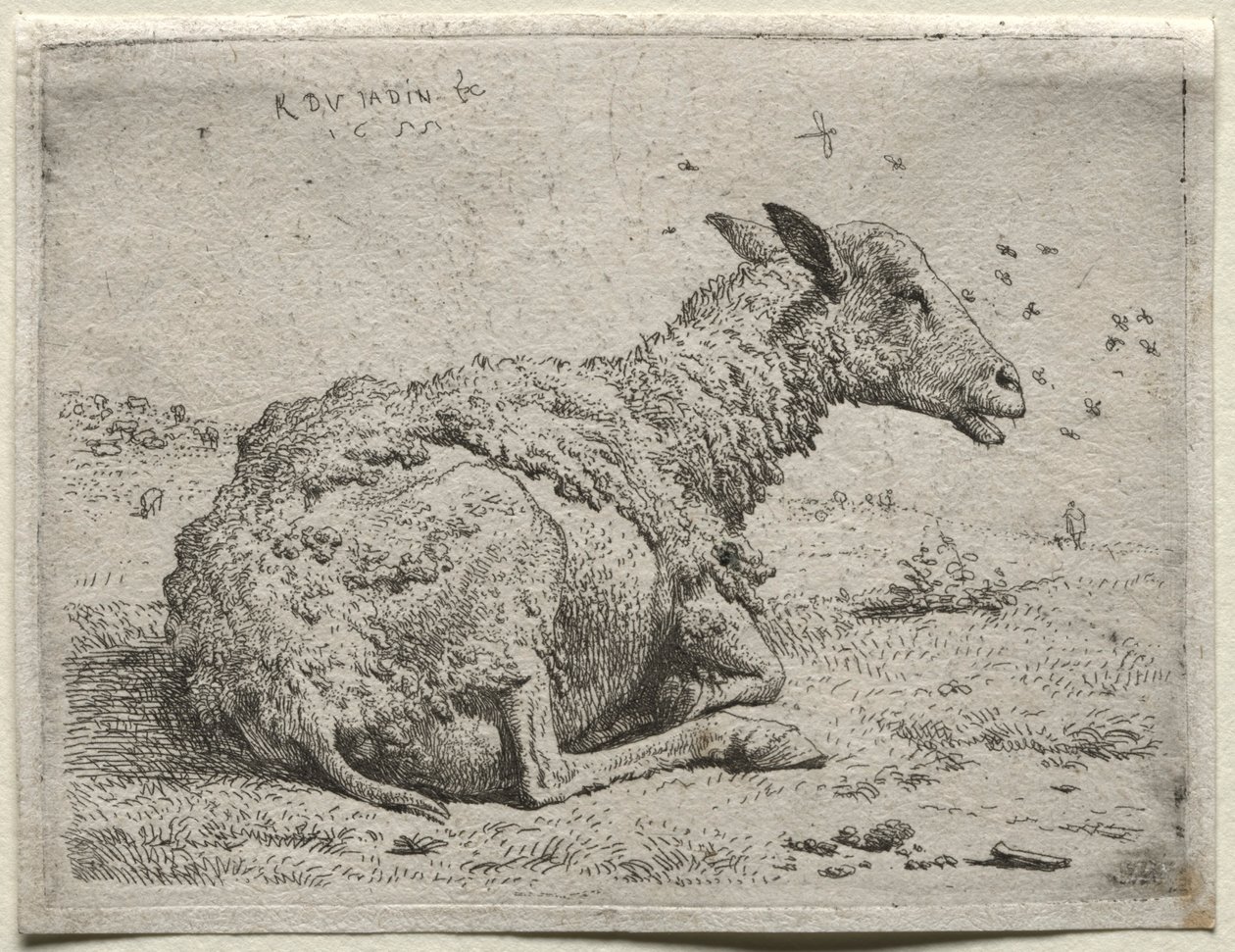 Owce i muchy. autorstwa Karel Dujardin