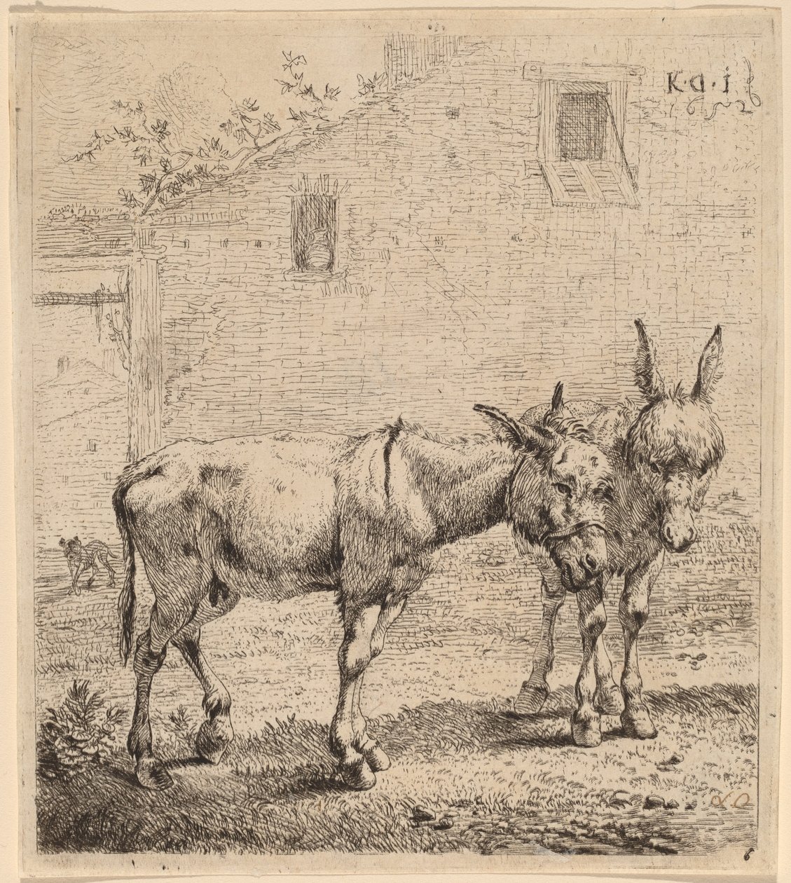 Dwie dupy autorstwa Karel Dujardin