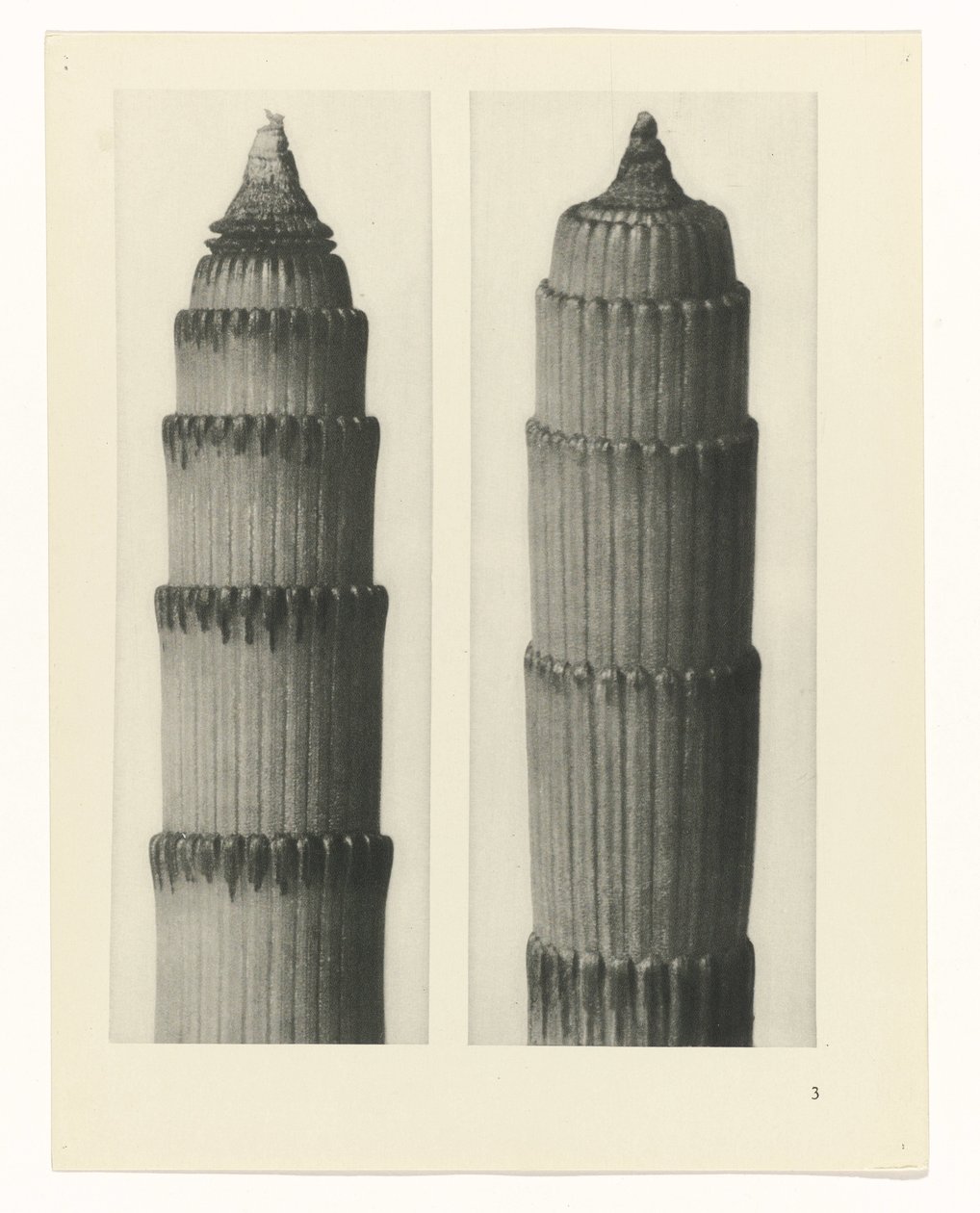 zaplanuj naukę Archetypy sztuki (tytuł serii) autorstwa Karl Blossfeldt