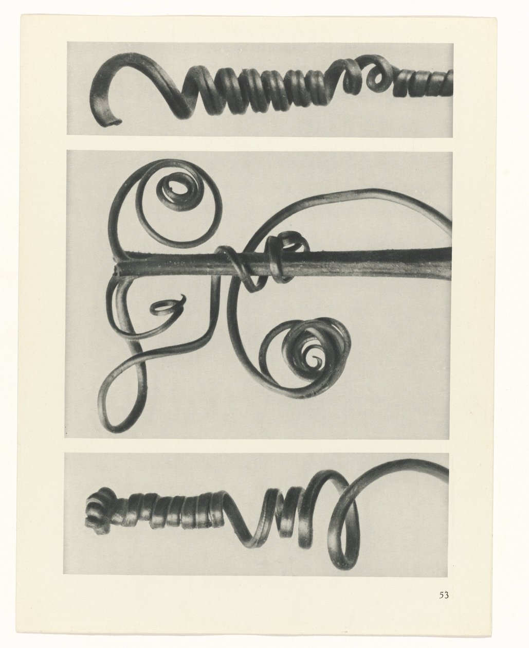 zaplanuj naukę Archetypy sztuki (tytuł serii) autorstwa Karl Blossfeldt