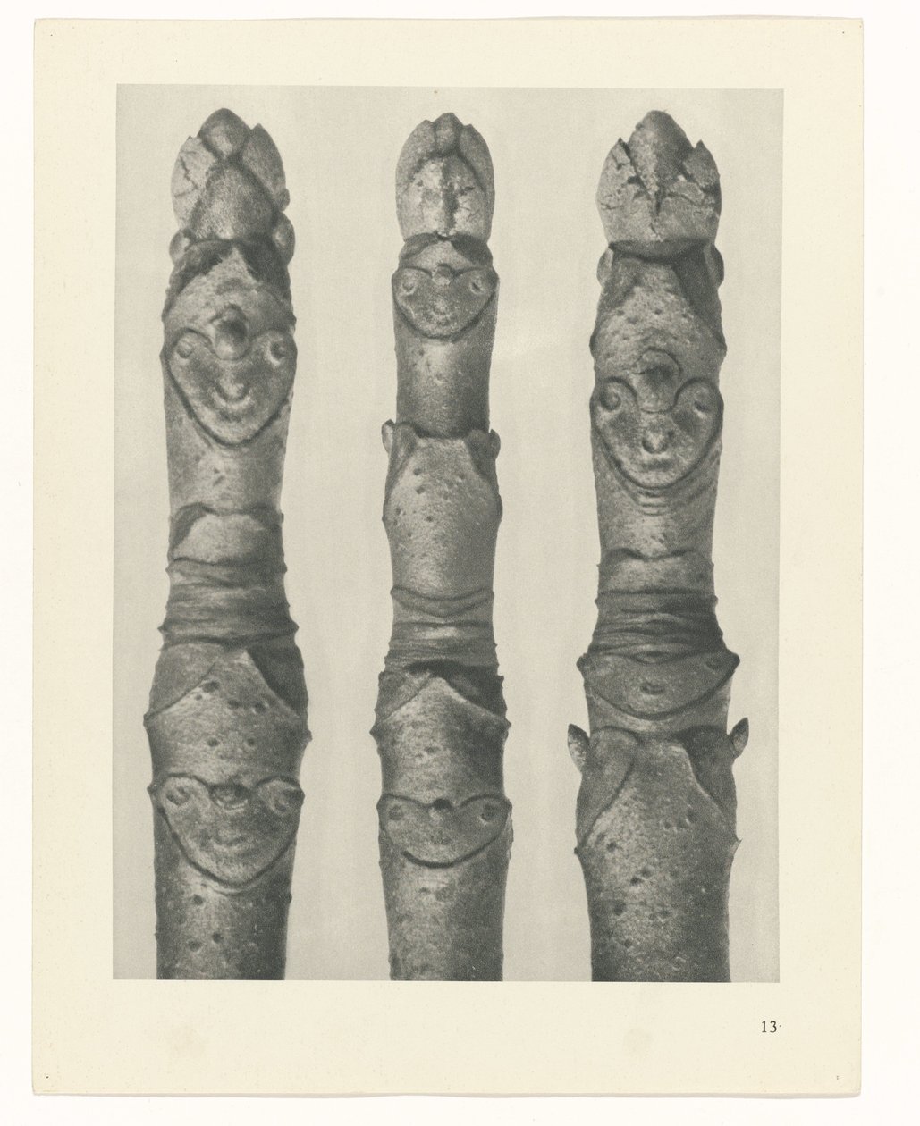 zaplanuj naukę Archetypy sztuki (tytuł serii) autorstwa Karl Blossfeldt