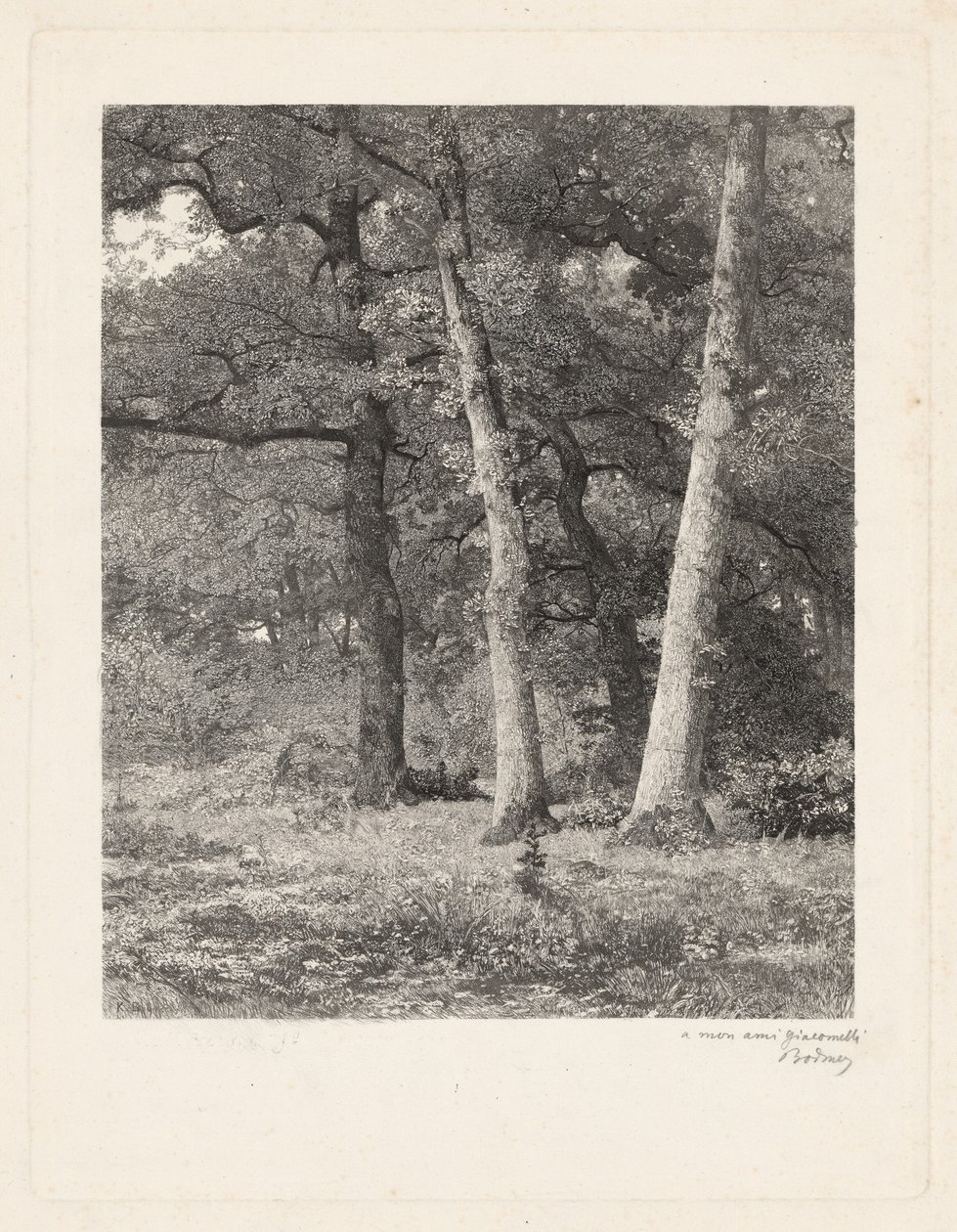Leśna polana autorstwa Karl Bodmer