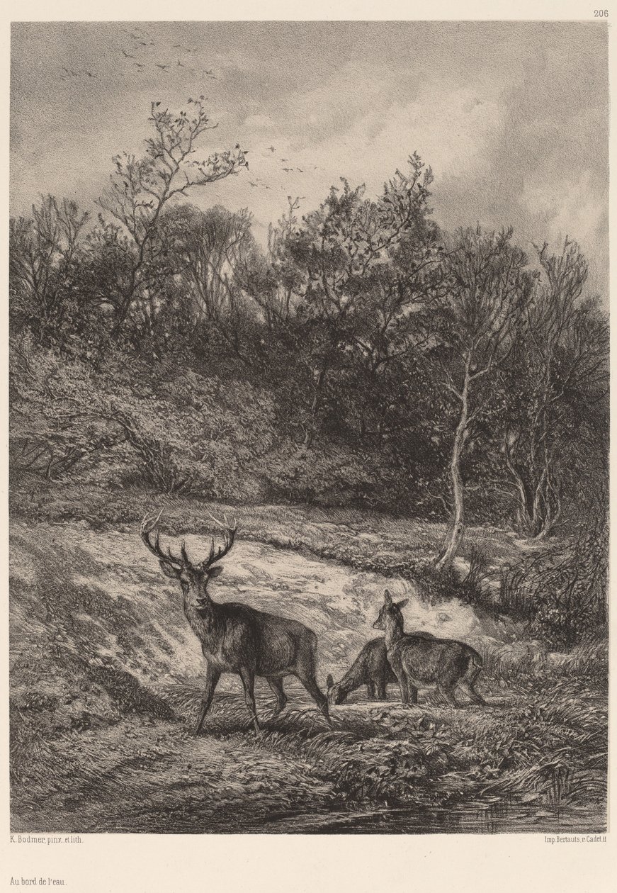 Na skraju wody autorstwa Karl Bodmer