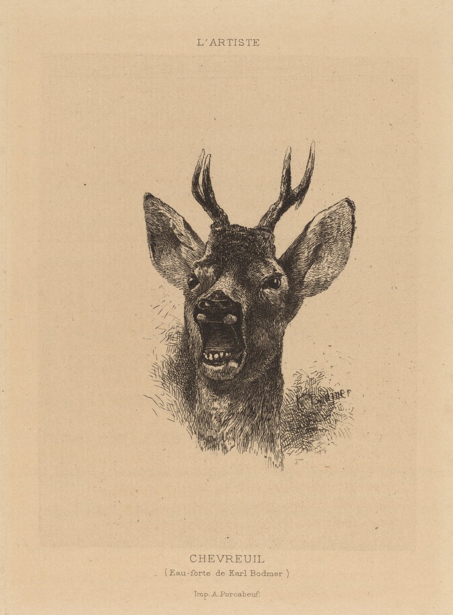 jeleń autorstwa Karl Bodmer