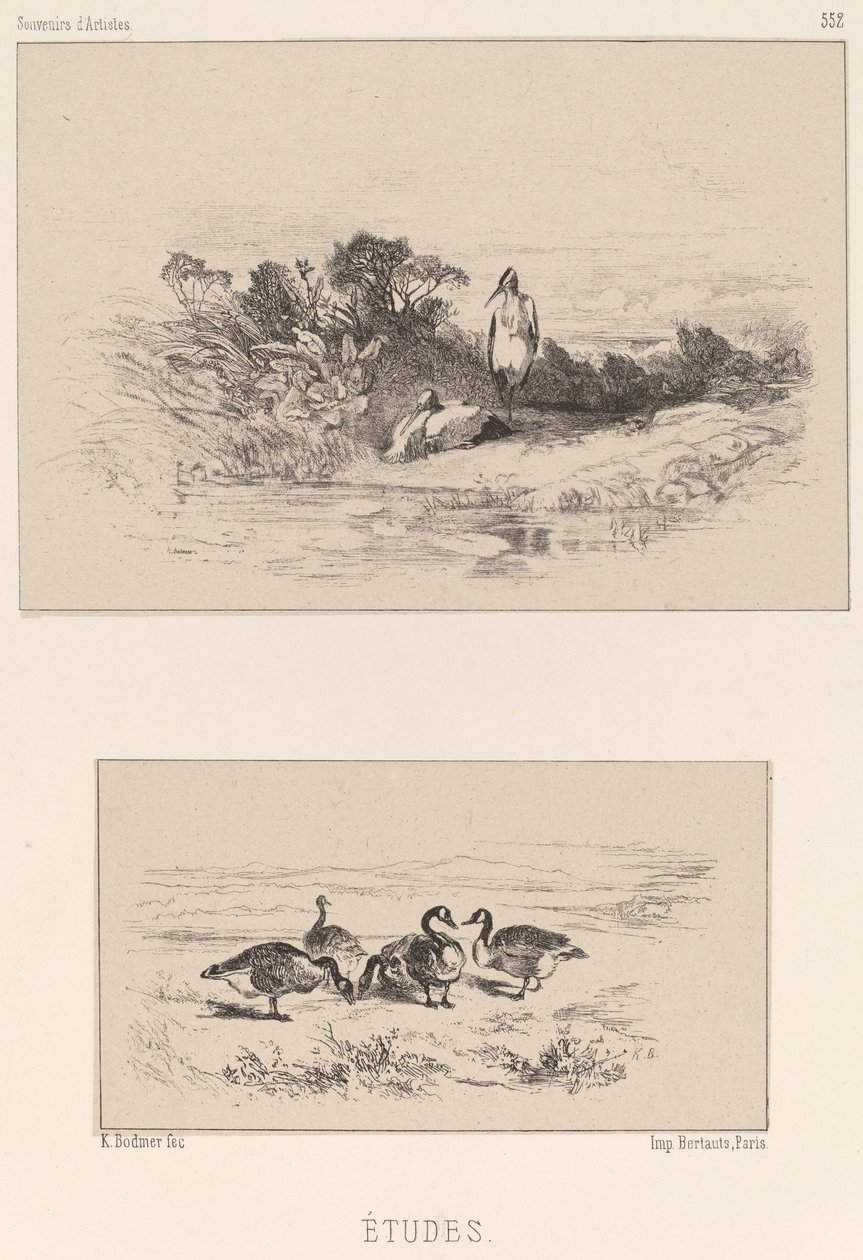Studia. autorstwa Karl Bodmer