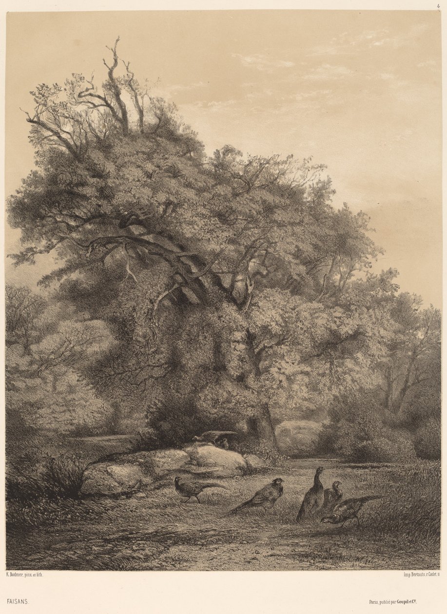 Bażanty. autorstwa Karl Bodmer