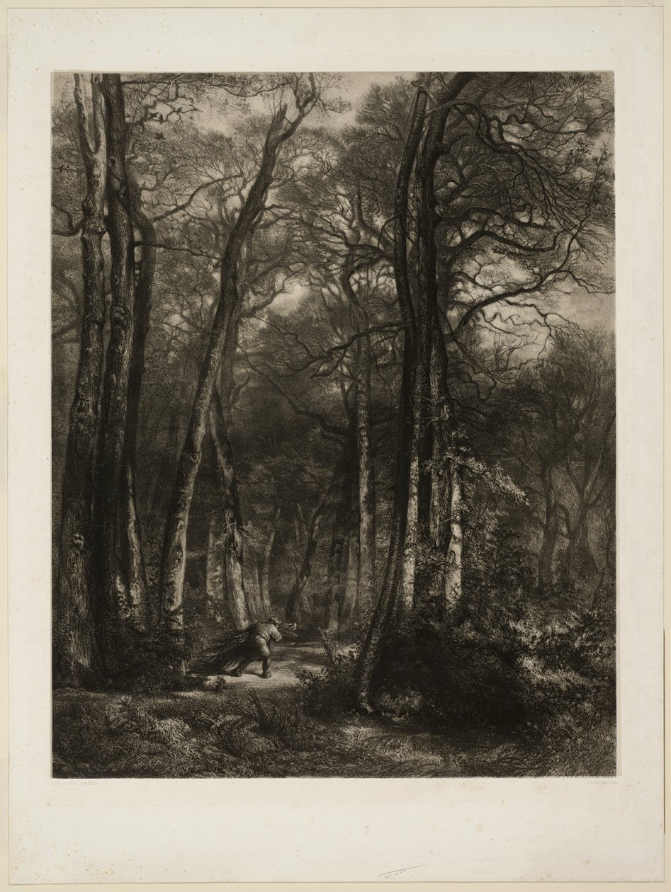 W lesie autorstwa Karl Bodmer