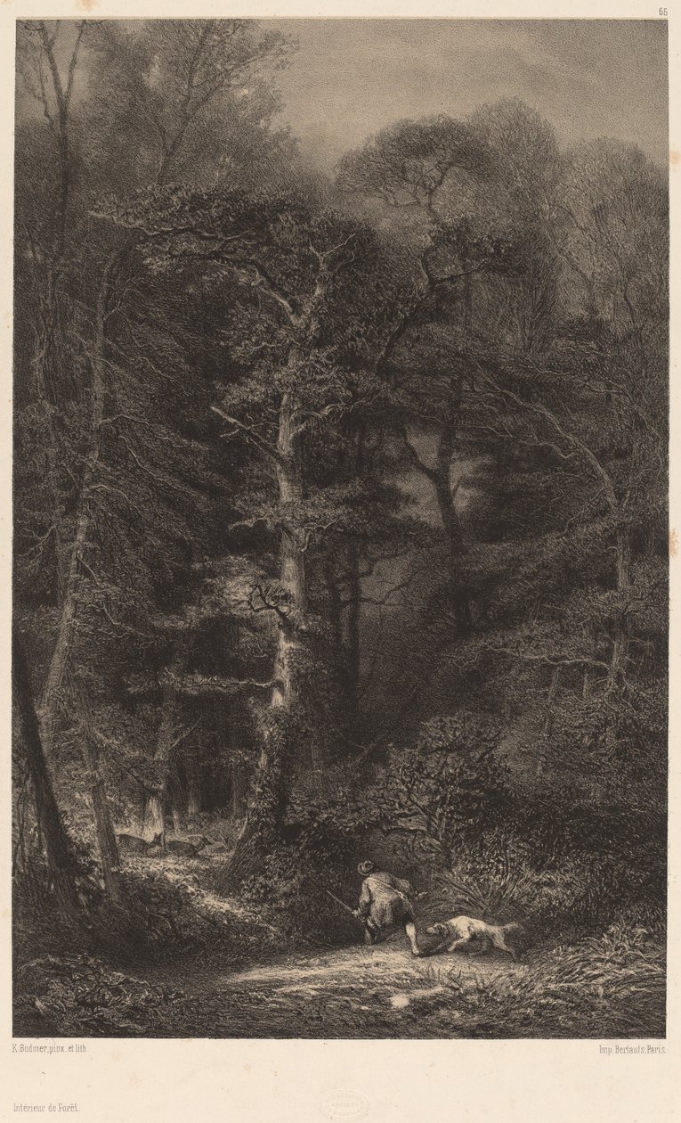 Wnętrze lasu. autorstwa Karl Bodmer