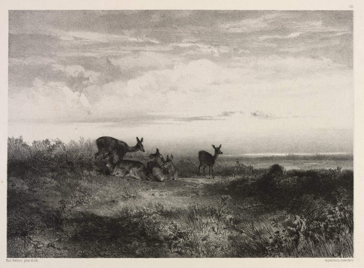 Krajobraz z jeleniem autorstwa Karl Bodmer