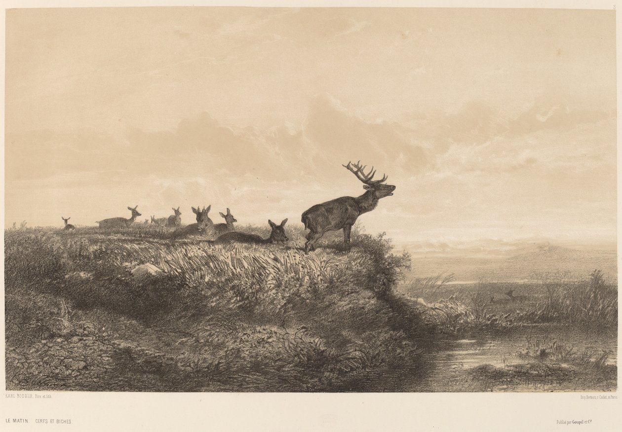 Poranek autorstwa Karl Bodmer