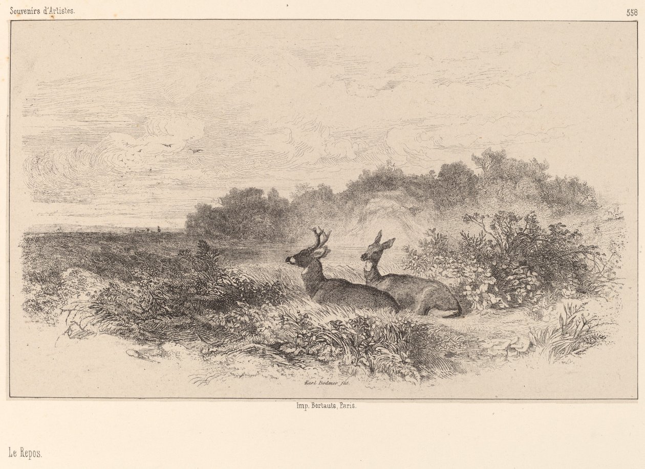 Reszta. autorstwa Karl Bodmer