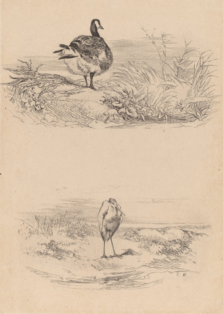 Oj, Czapla. autorstwa Karl Bodmer