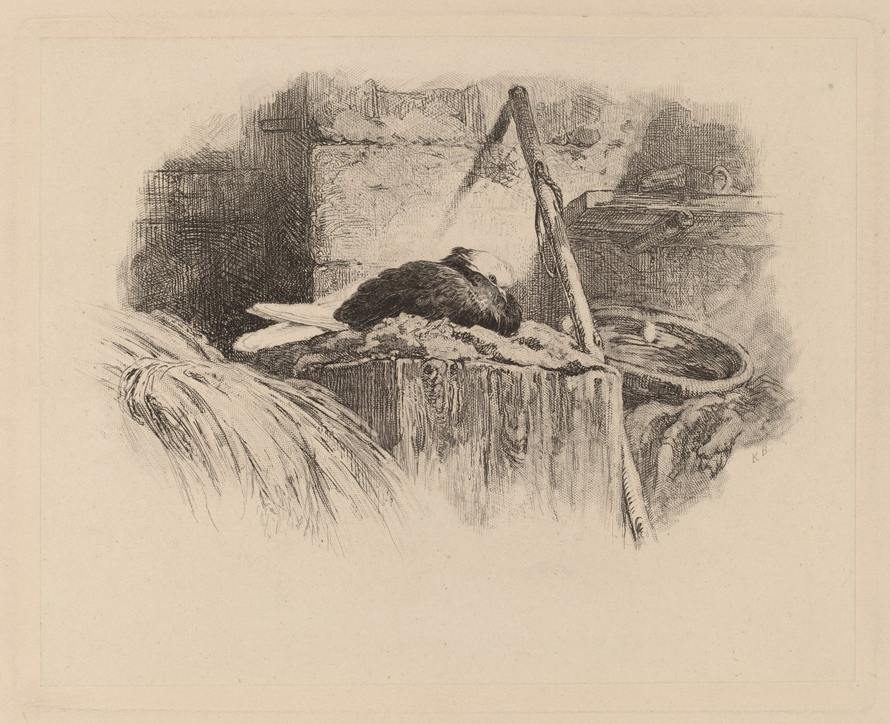 Gołąb na gnieździe. autorstwa Karl Bodmer