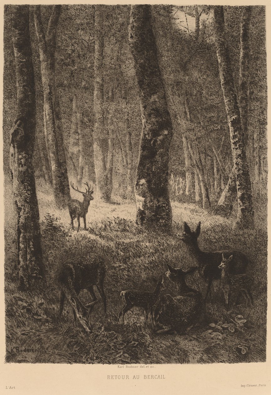 Powrót do domu autorstwa Karl Bodmer