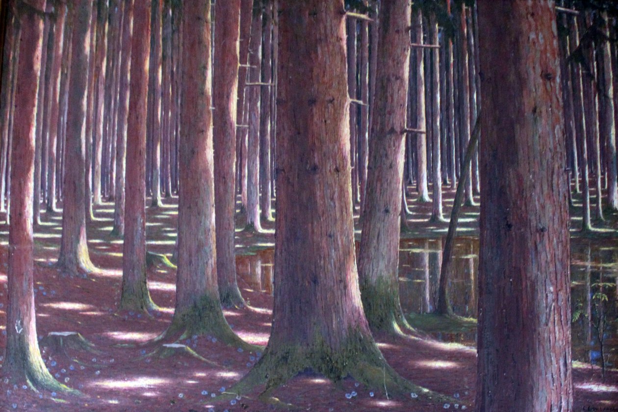 Las świerkowy autorstwa Karl Lambrecht