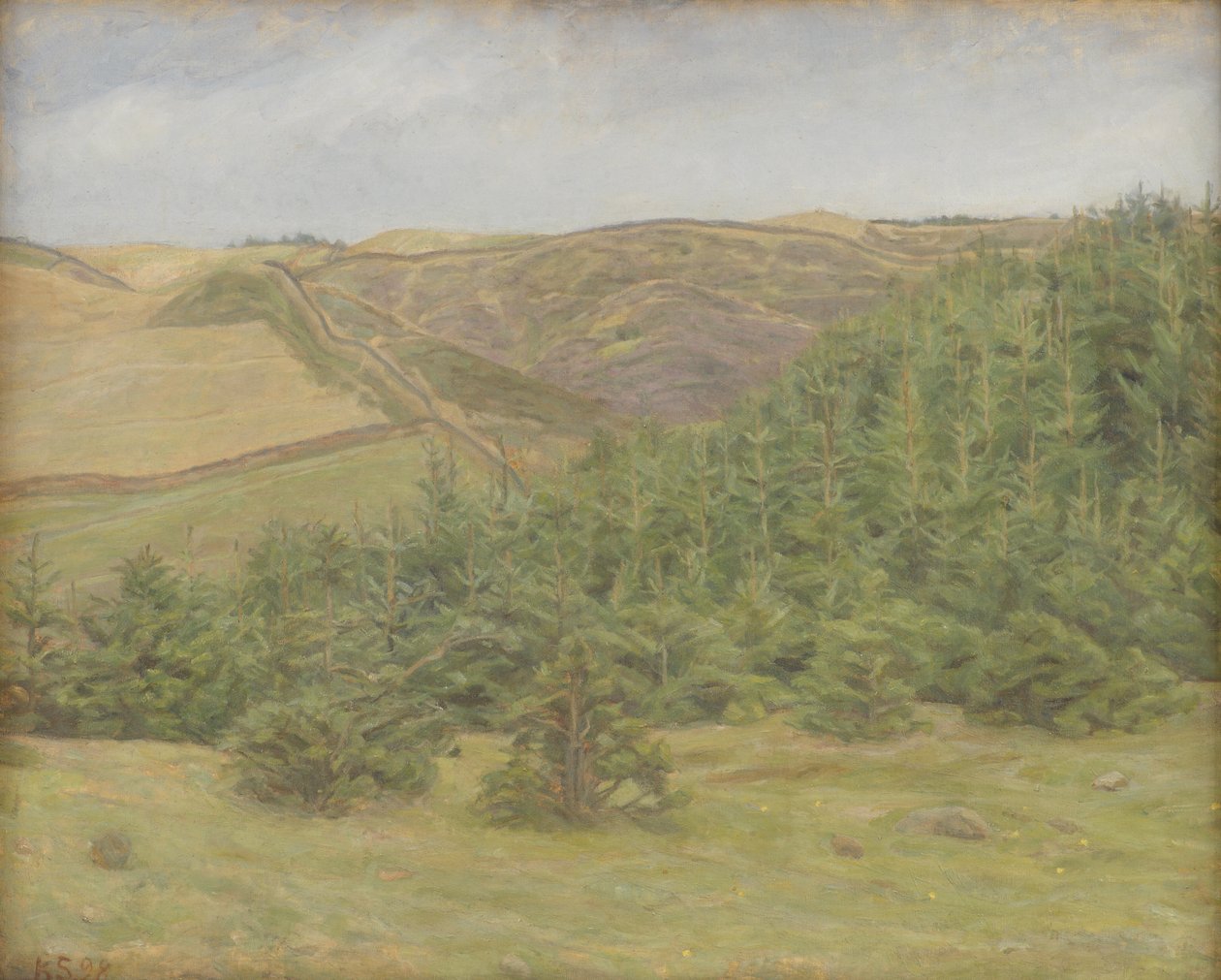 Svanninge Hills, Fionia autorstwa Karl Schou