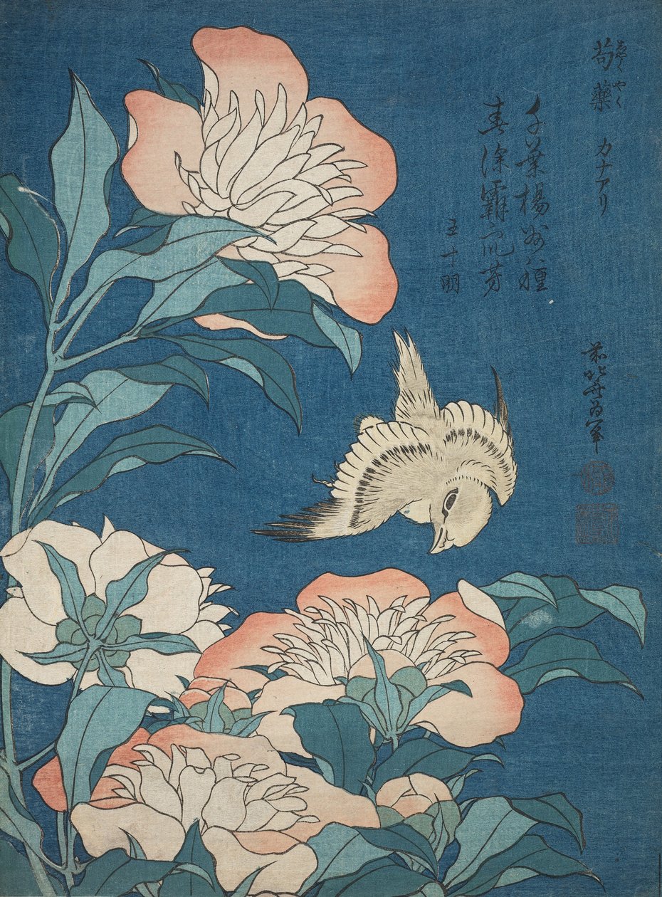 Piwonie i kanarek (Shakuyaku, kanaari), z serii bez tytułu znanej jako Małe Kwiaty autorstwa Katsushika Hokusai