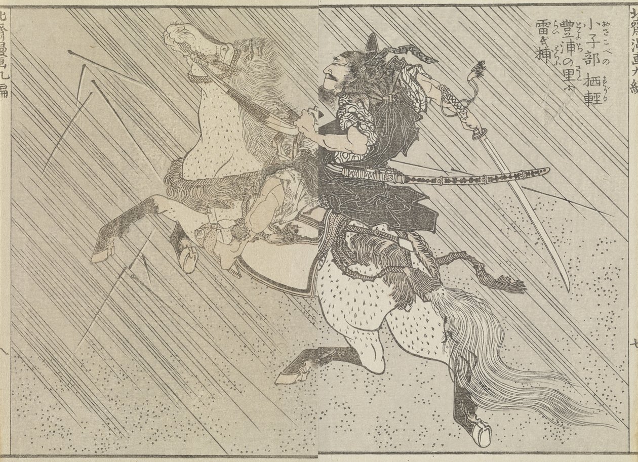 Pole bitwy, ok. 1840 (odbitka drzeworytnicza) autorstwa Katsushika Hokusai