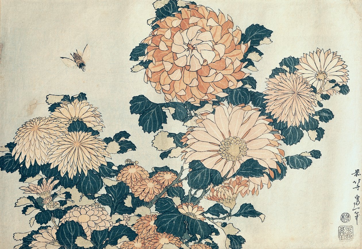 Chryzantemy (kolorowa odbitka w technice woodblock) autorstwa Katsushika Hokusai