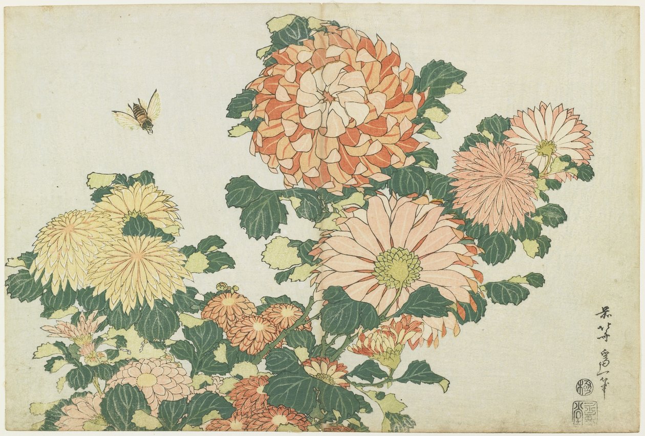 Chryzantemy i Chryzantemy, ok. 1930 r. 1832 autorstwa Katsushika Hokusai