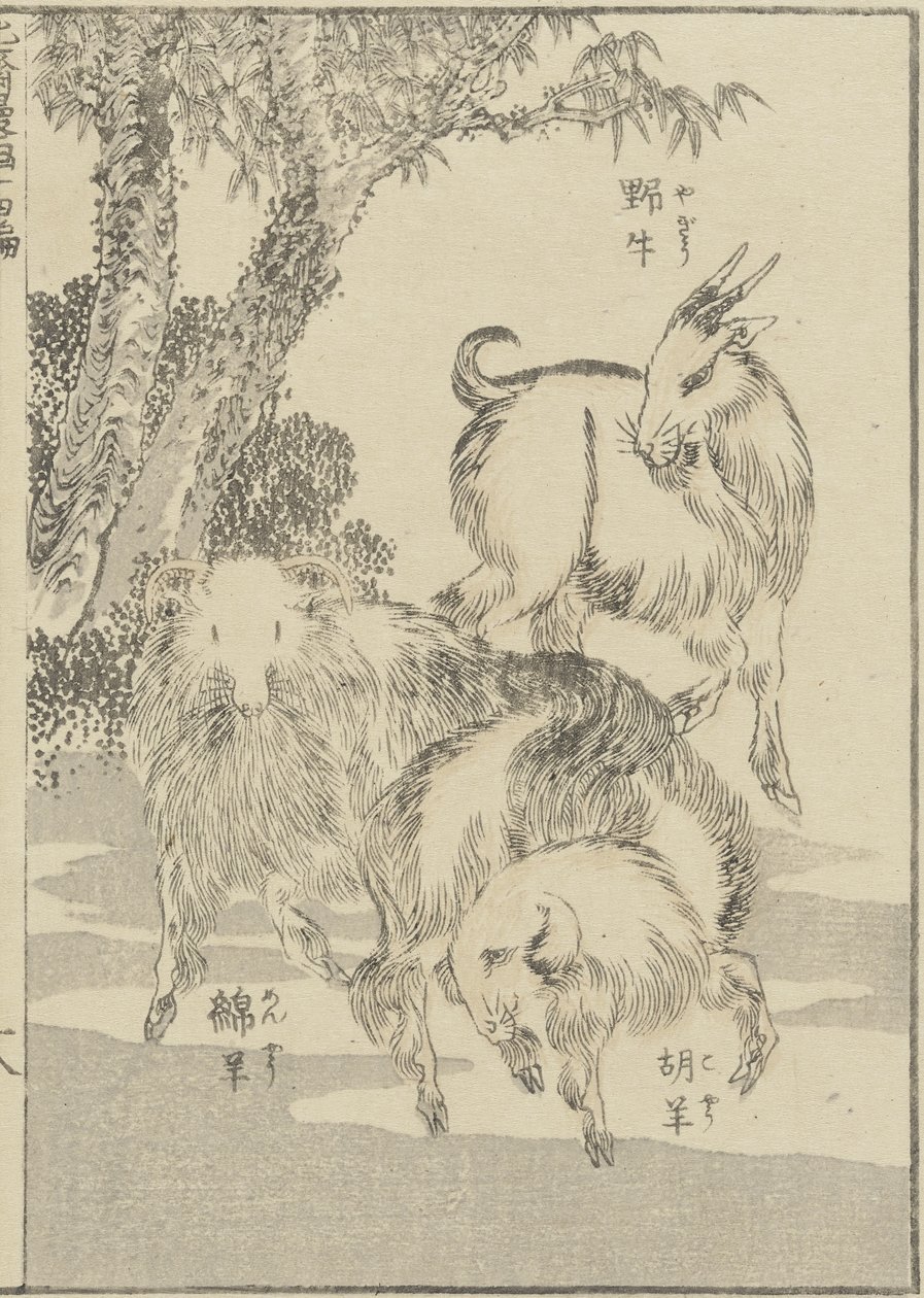 Kozy, ok. 1840 (odbitka drzeworytowa) autorstwa Katsushika Hokusai