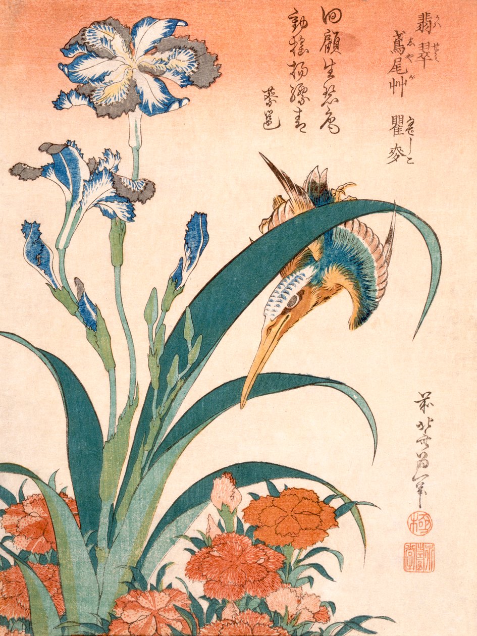 Zimorodek, irysy i róże (kolorowy drzeworyt) autorstwa Katsushika Hokusai