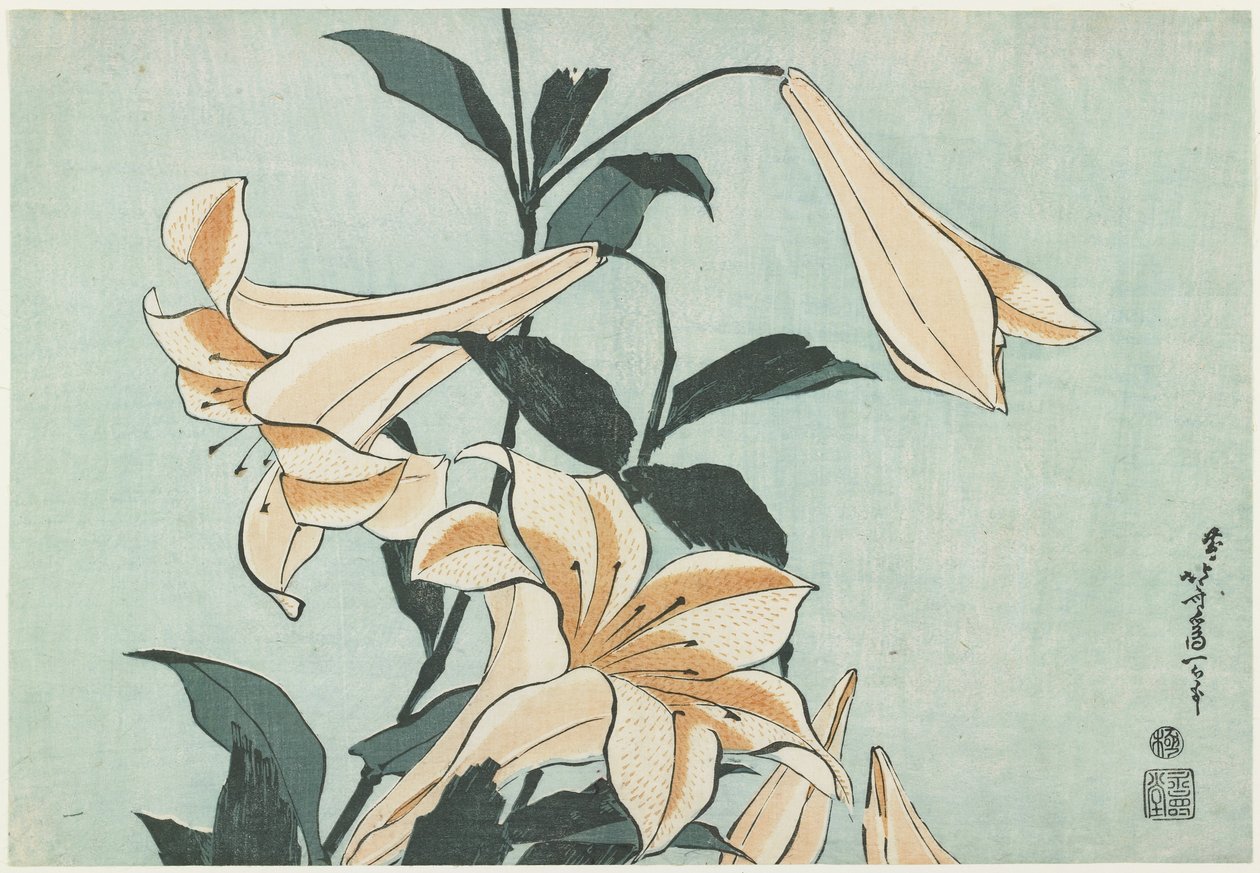 Lilie, ok. 1832 autorstwa Katsushika Hokusai