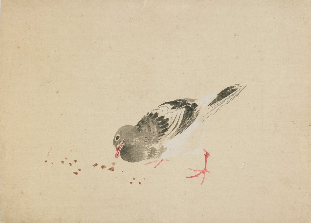 Gołąb, koniec XVIII-początek XIX wieku. autorstwa Katsushika Hokusai