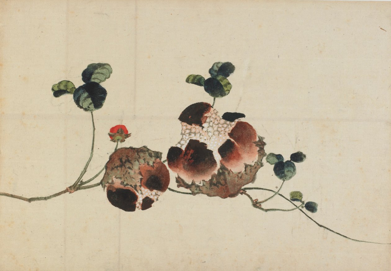 Granaty, koniec XVIII – początek XIX wieku. autorstwa Katsushika Hokusai