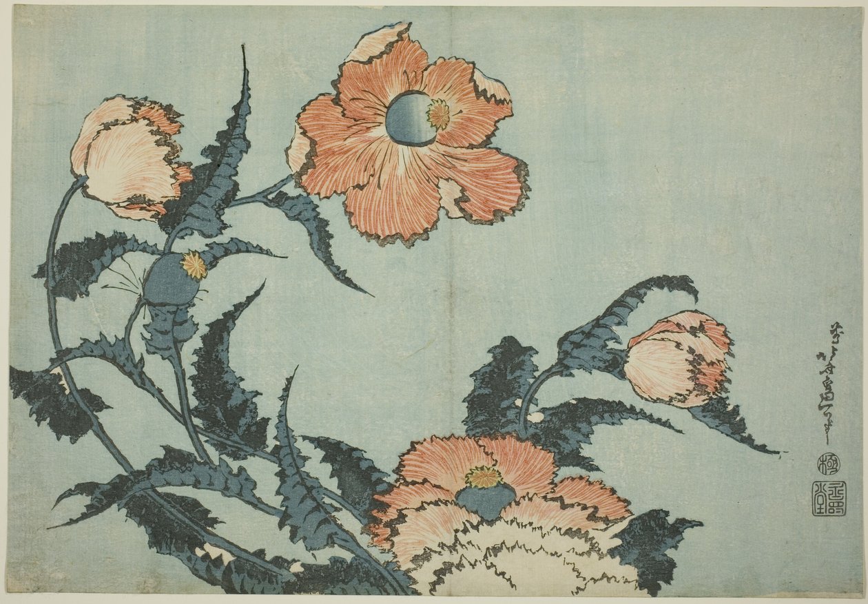 Maki z serii kwiatów bez tytułu autorstwa Katsushika Hokusai