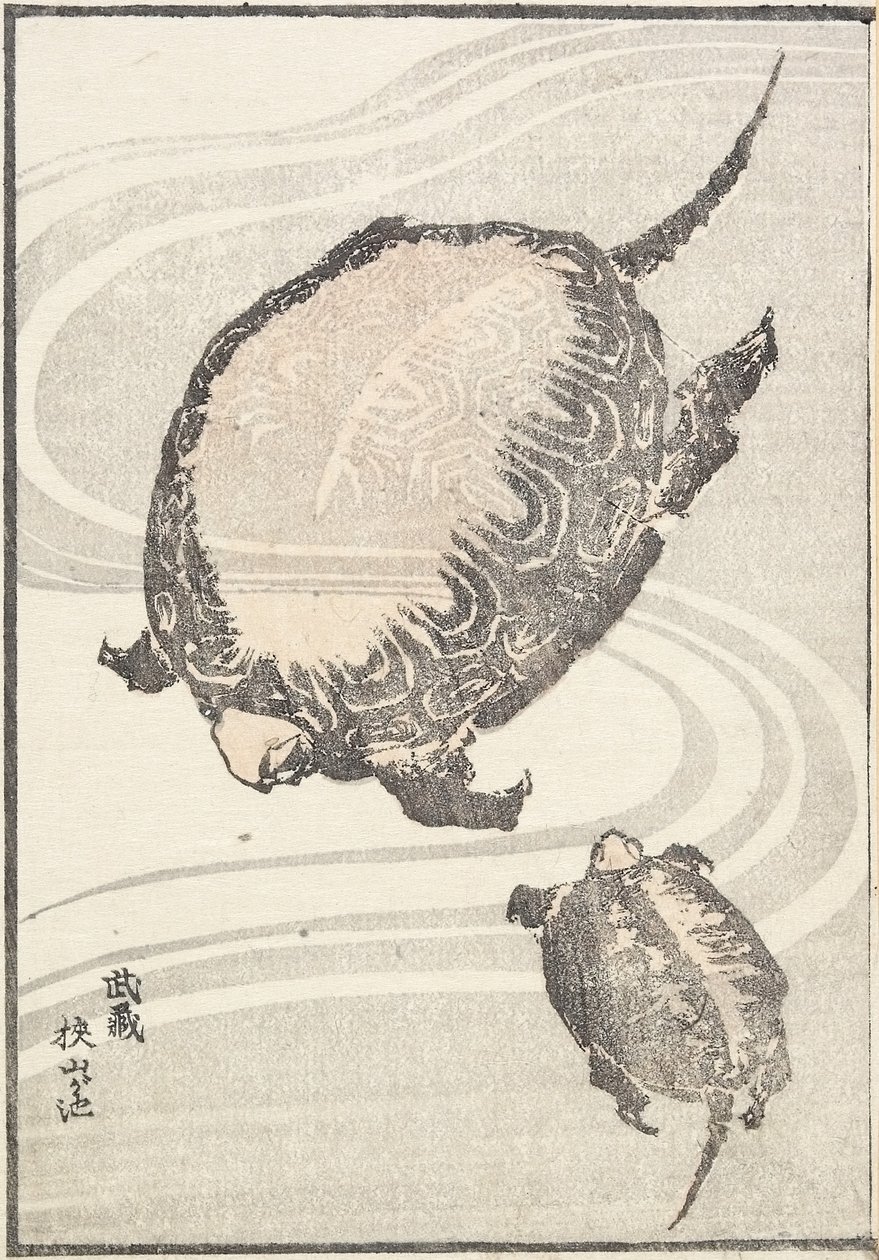Sayama-ga-ike pon d członek Musashi P Rovinse, 1817 autorstwa Katsushika Hokusai